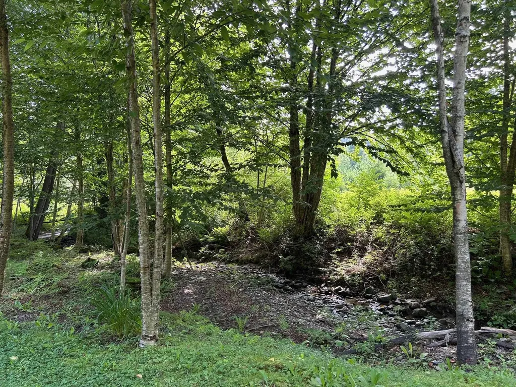 33 Williams Lane Wolcott VT 05680