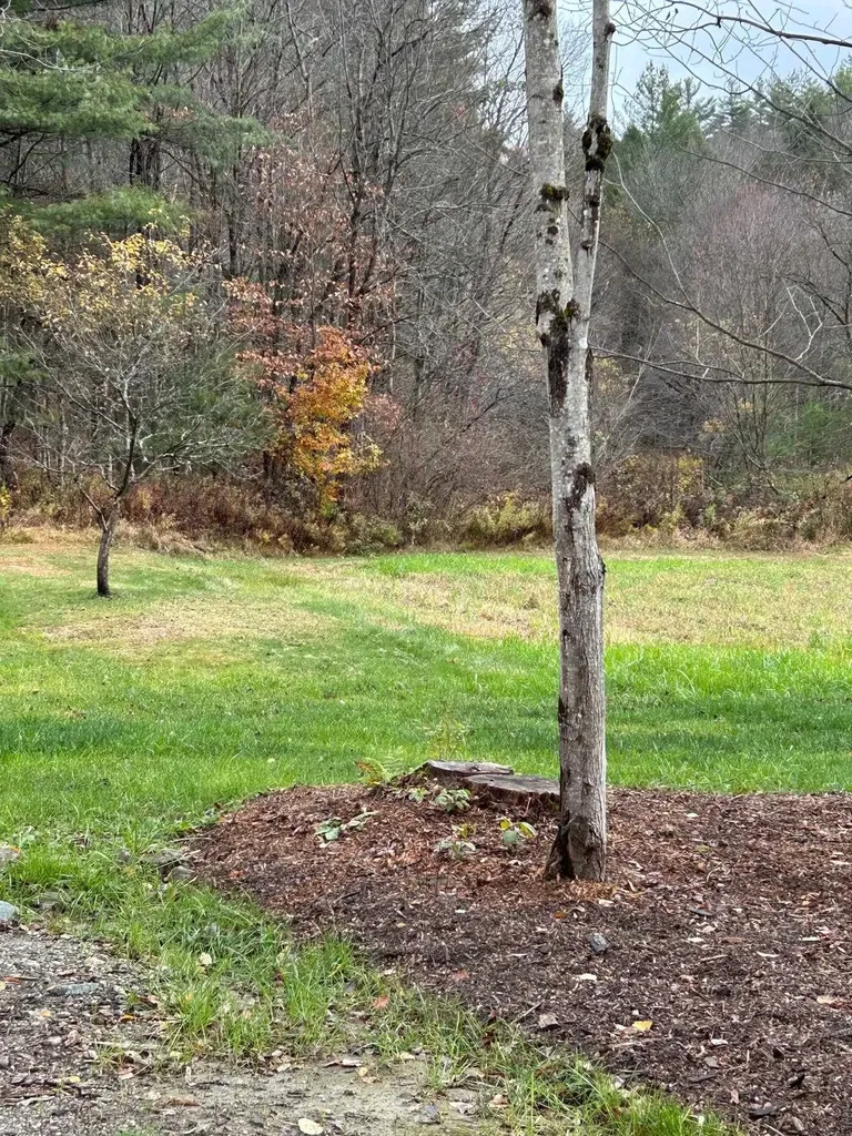 33 Williams Lane Wolcott VT 05680