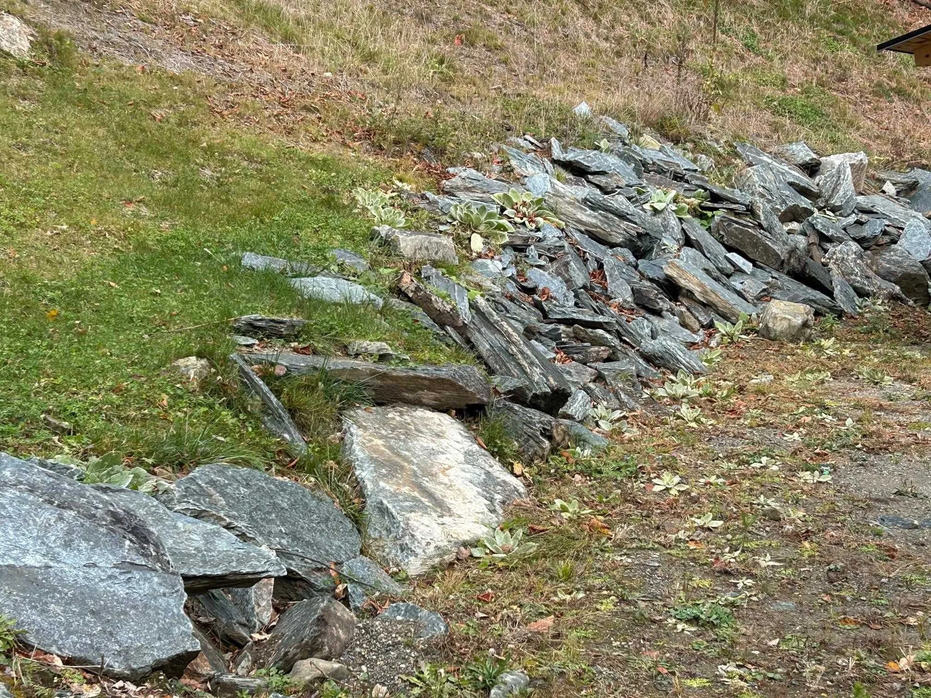 33 Williams Lane Wolcott VT 05680