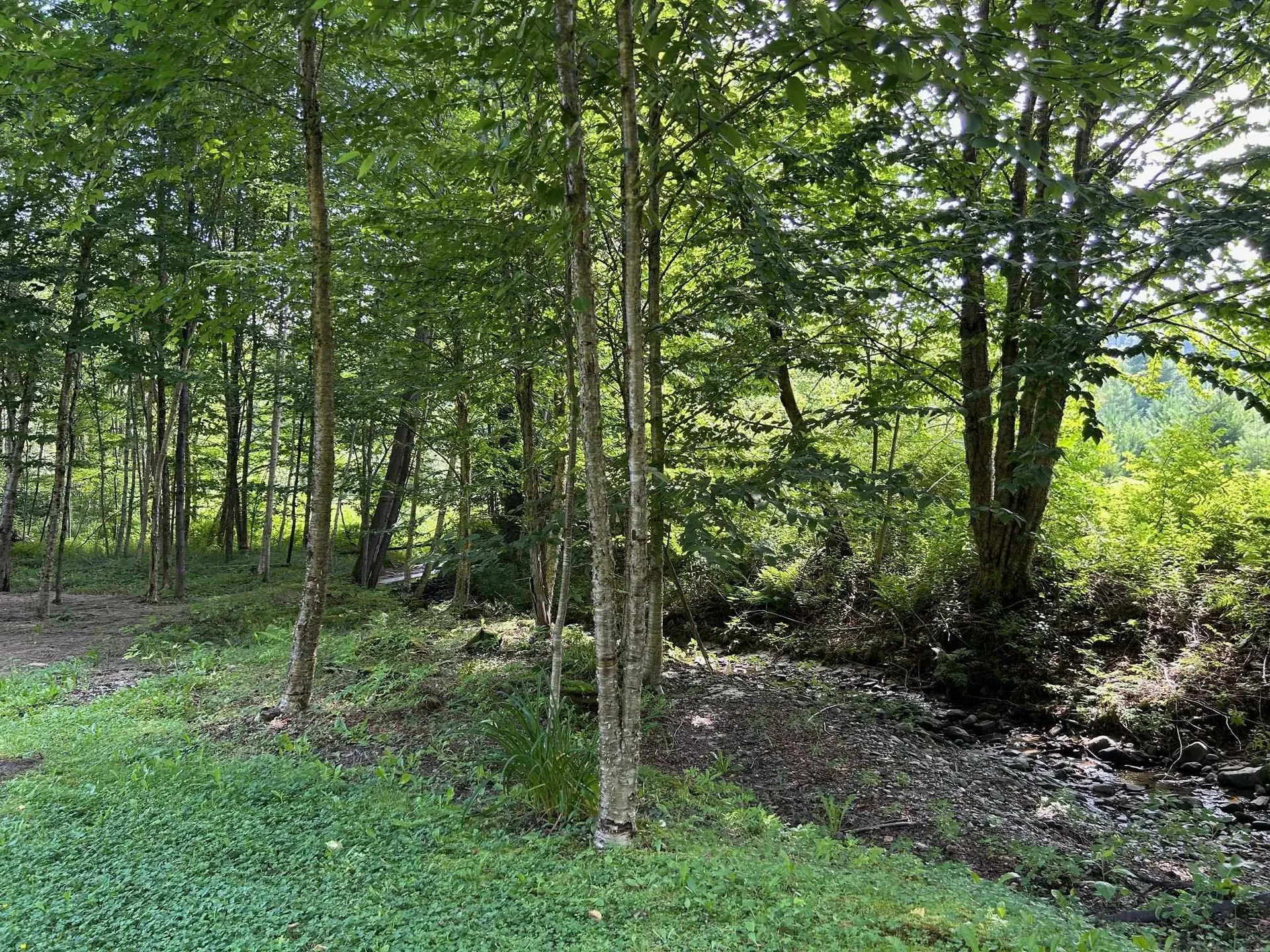 33 Williams Lane Wolcott VT 05680