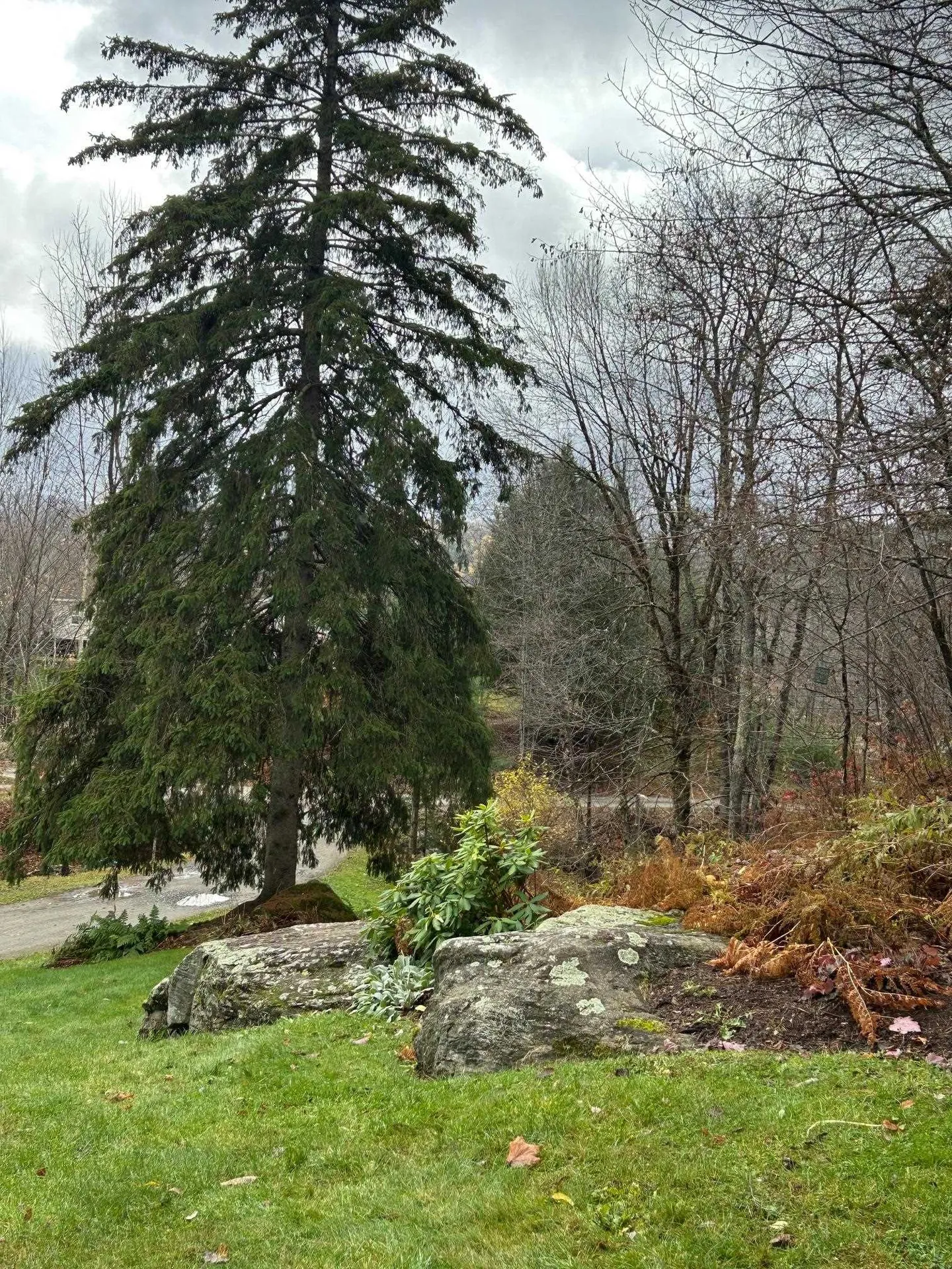 33 Williams Lane Wolcott VT 05680