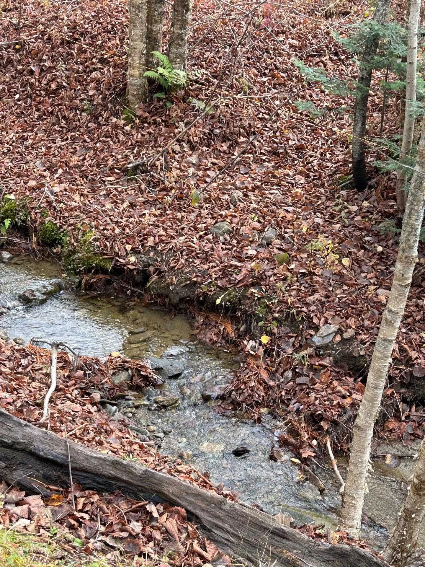 33 Williams Lane Wolcott VT 05680