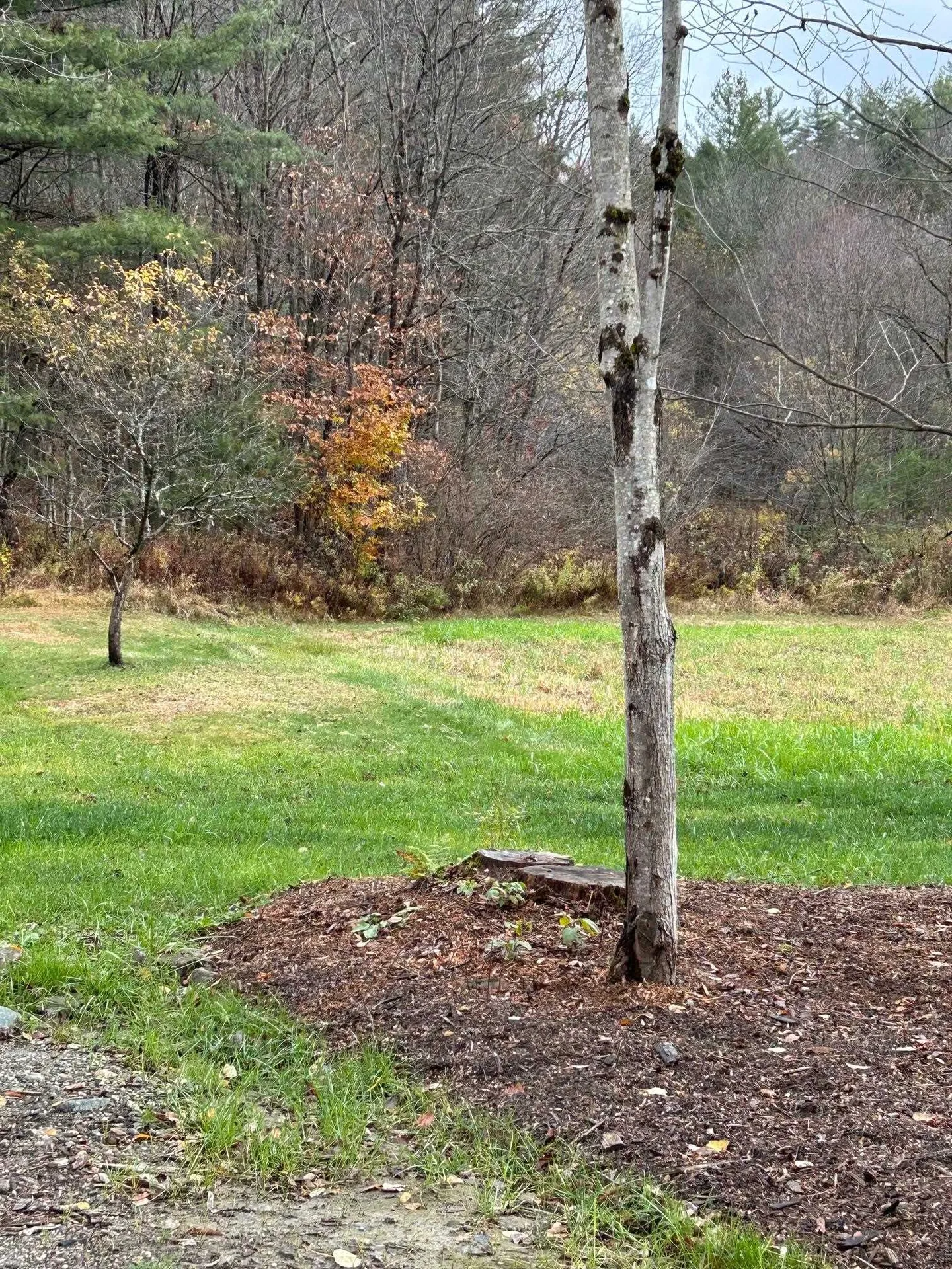 33 Williams Lane Wolcott VT 05680