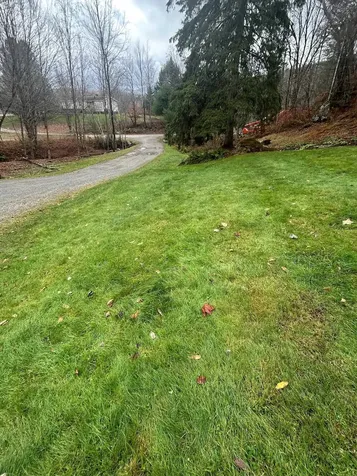 33 Williams Lane Wolcott VT 05680