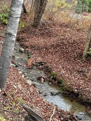 33 Williams Lane Wolcott VT 05680