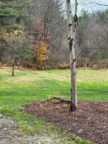 33 Williams Lane Wolcott VT 05680