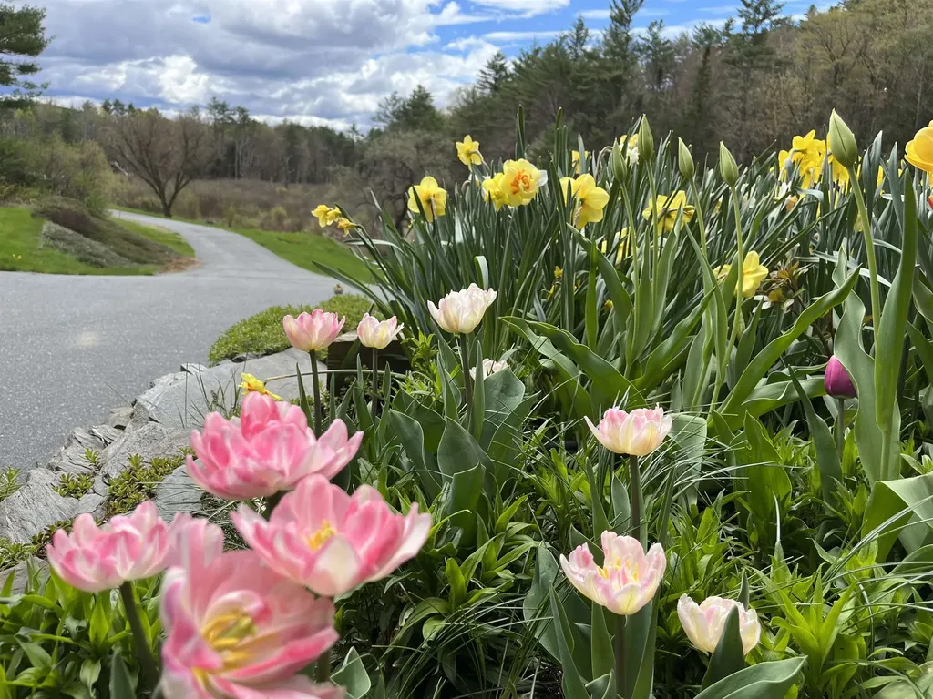 233 Route 10 Piermont NH 03779