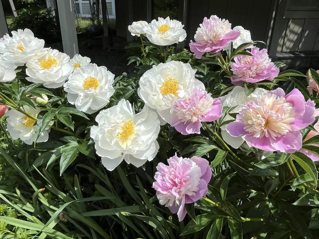 233 Route 10 Piermont NH 03779