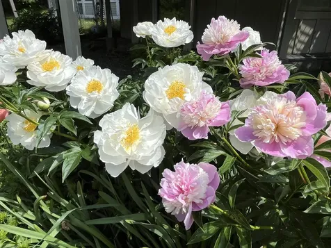 233 Route 10 Piermont NH 03779