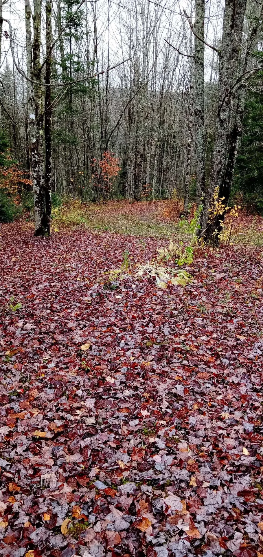 102 Albany Road Eden VT 05653