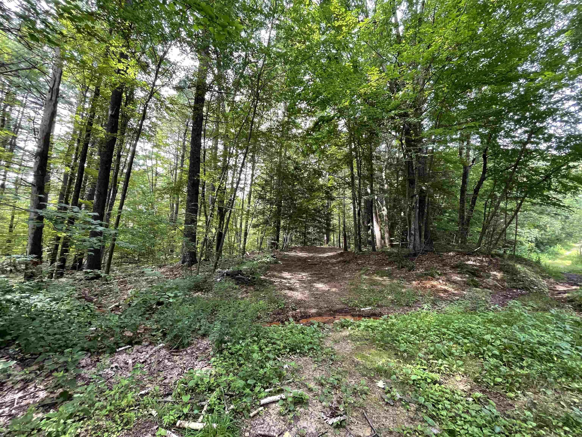 99 Powers Street Milford NH 03055