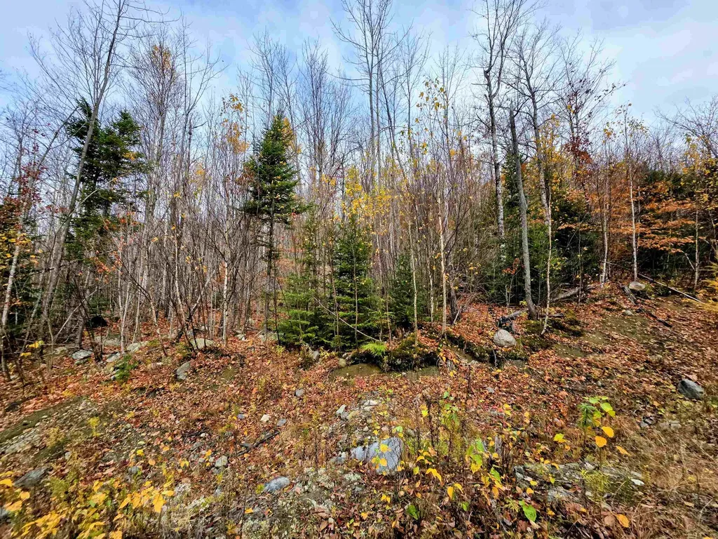 Off Washburn Road Columbia NH 03590