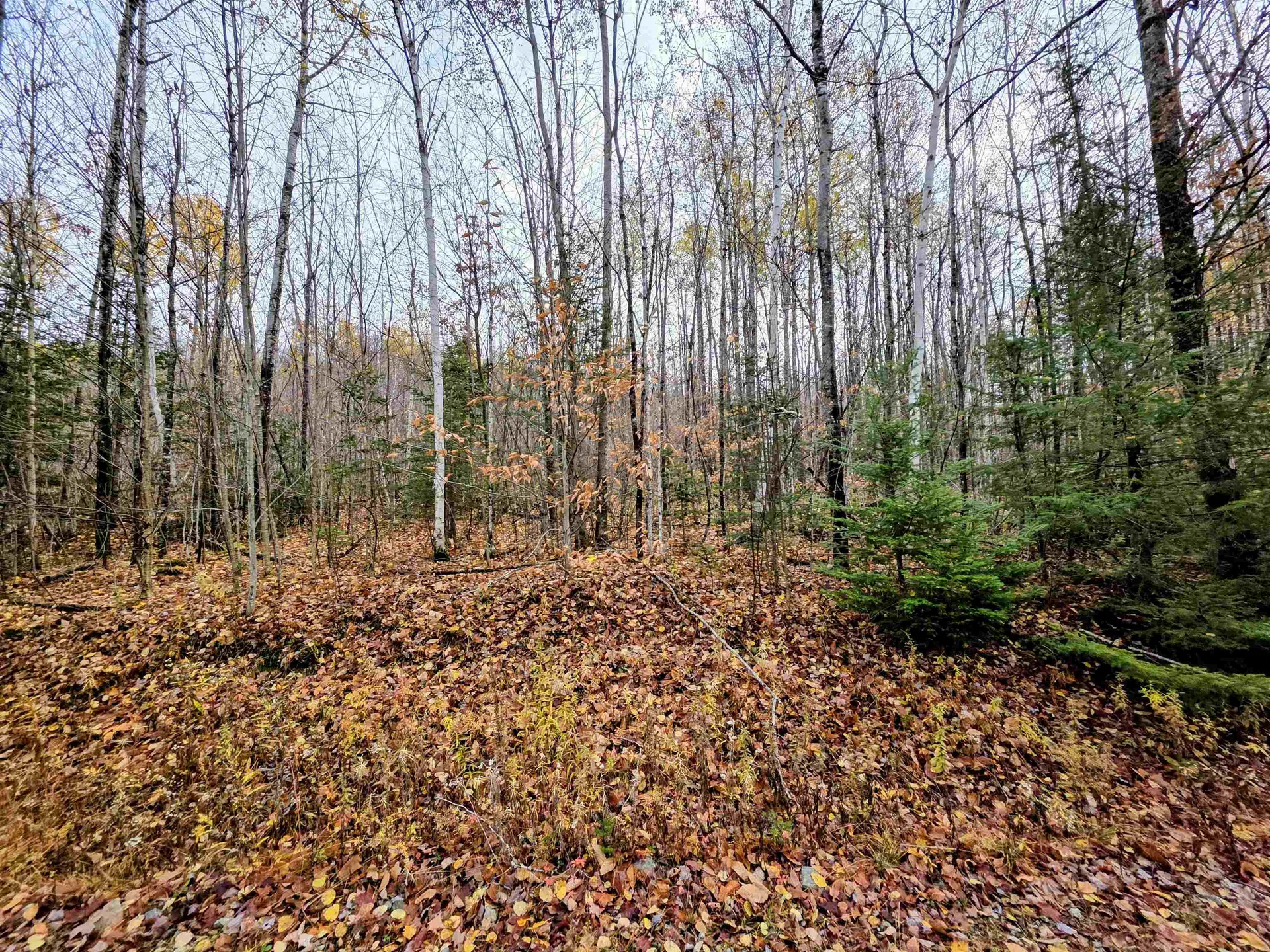 Off Washburn Road Columbia NH 03590