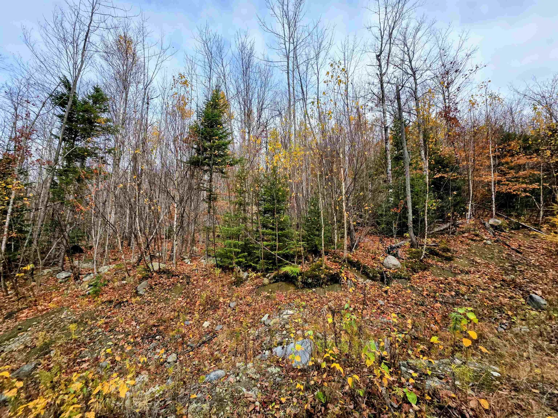 Off Washburn Road Columbia NH 03590