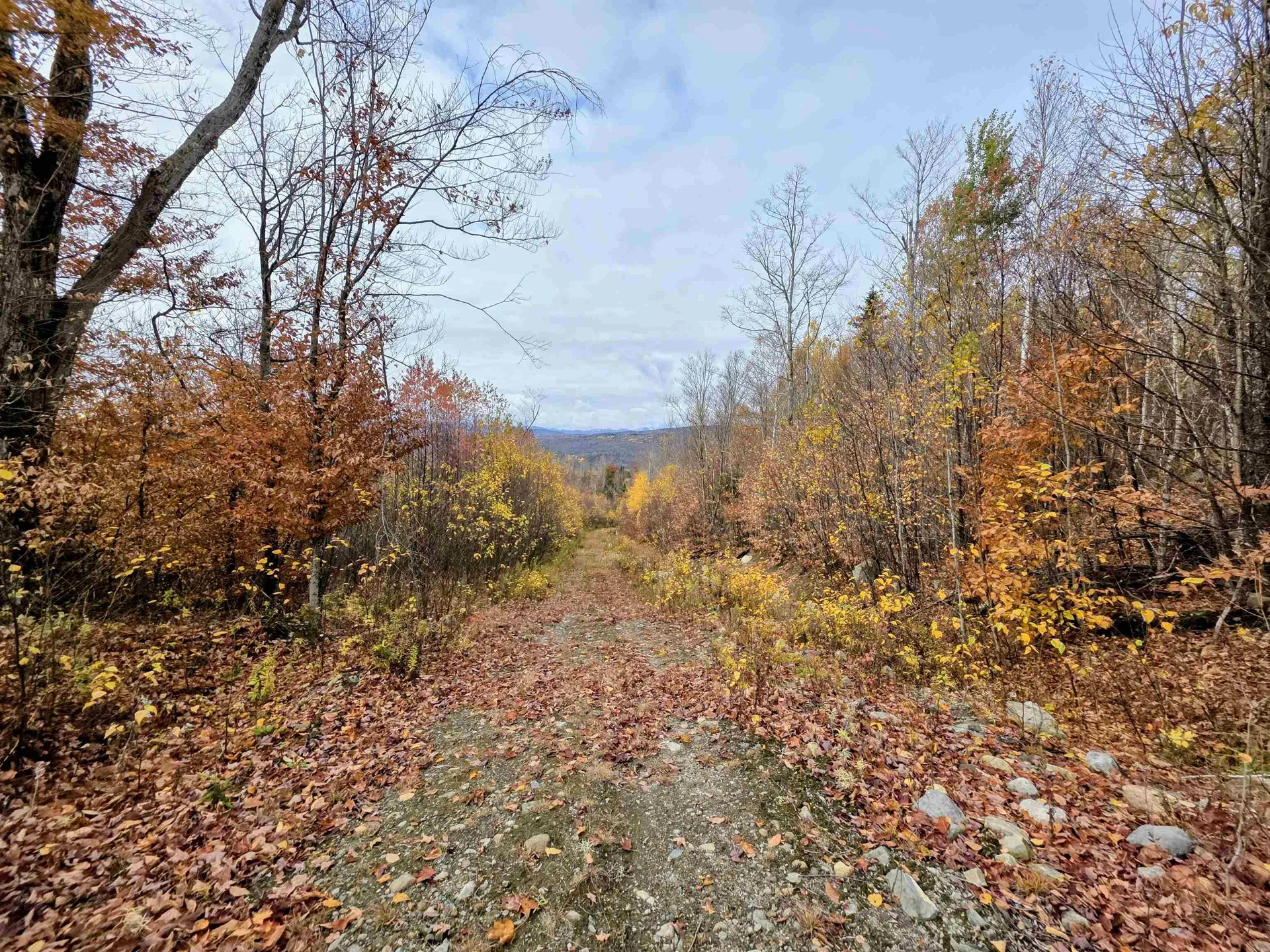 Off Washburn Road Columbia NH 03590