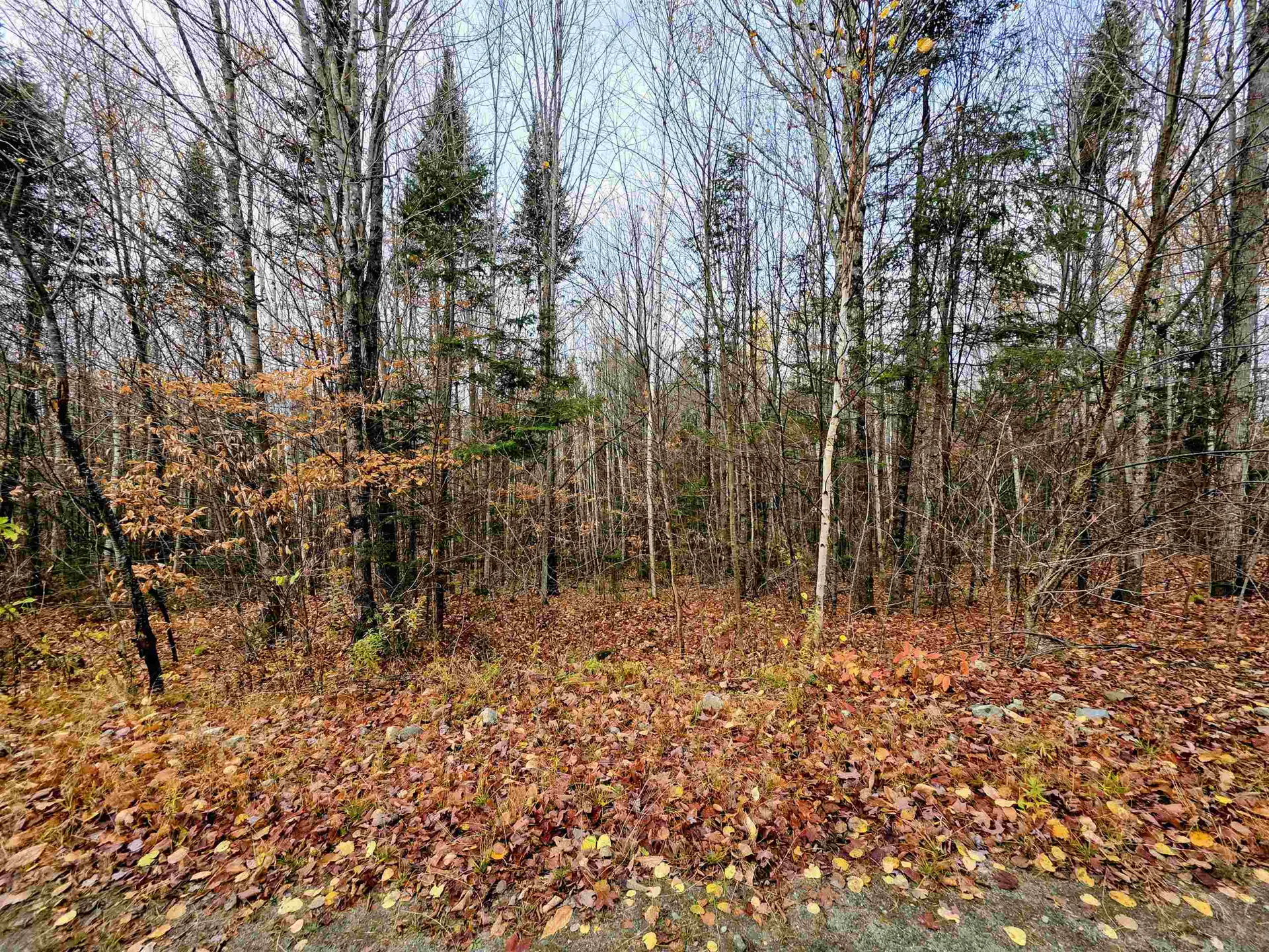 Off Washburn Road Columbia NH 03590