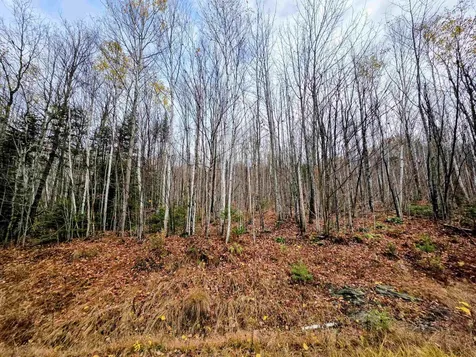 Off Washburn Road Columbia NH 03590