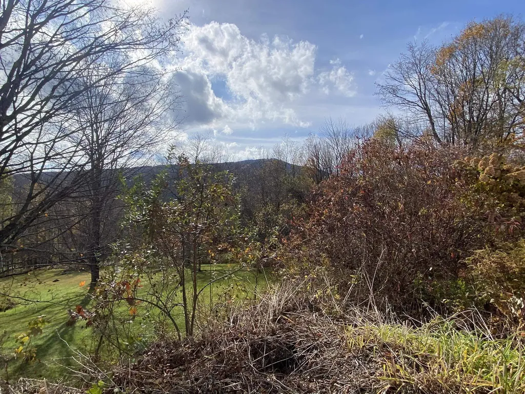 25 Upper Handle Road Dover VT 05356