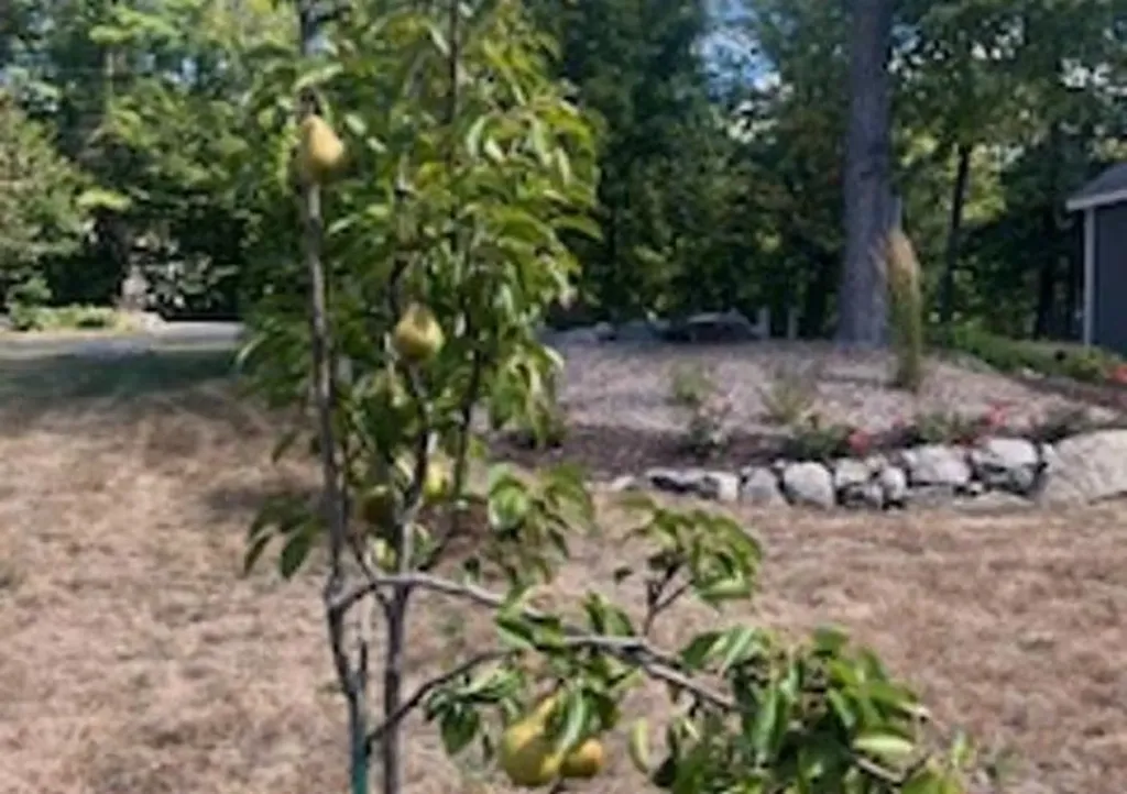 468 North Road Candia NH 03034