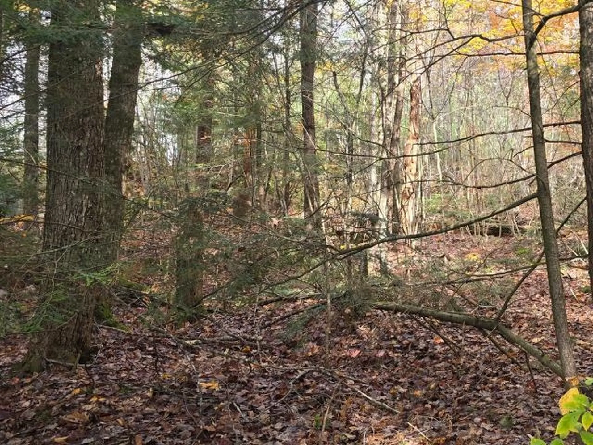 44 Huntington Drive Hillsborough NH 03244