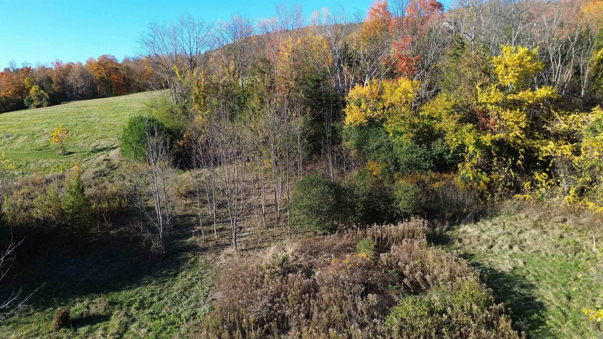 7338 Spear Street Charlotte VT 05445