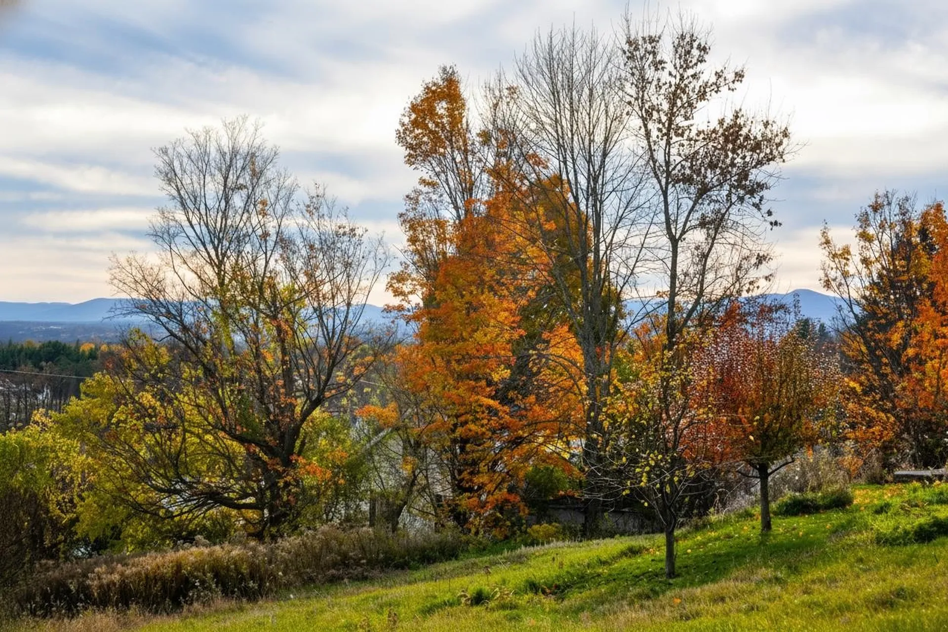 7338 Spear Street Charlotte VT 05445