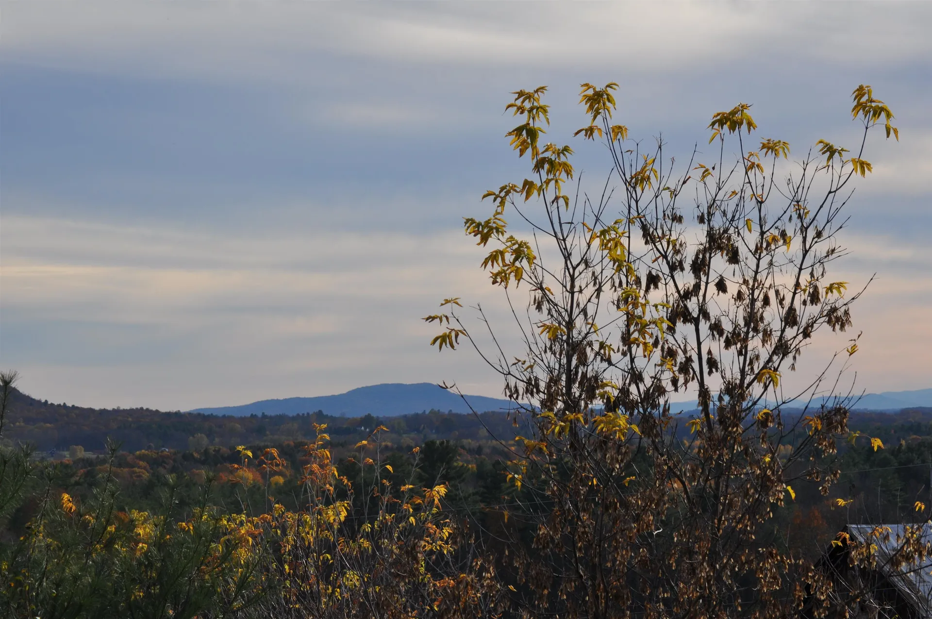 7338 Spear Street Charlotte VT 05445