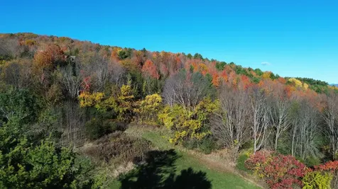 7338 Spear Street Charlotte VT 05445