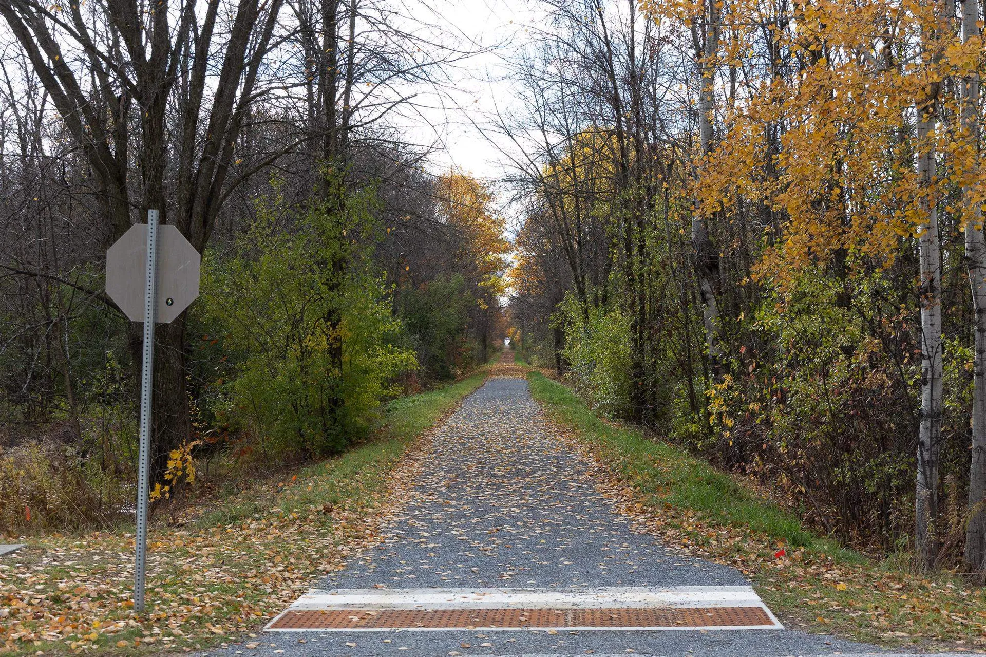 1120 Franklin Park West St. Albans Town VT 05478