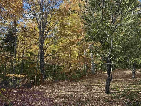 1502 Us Route 2 Randolph NH 03593