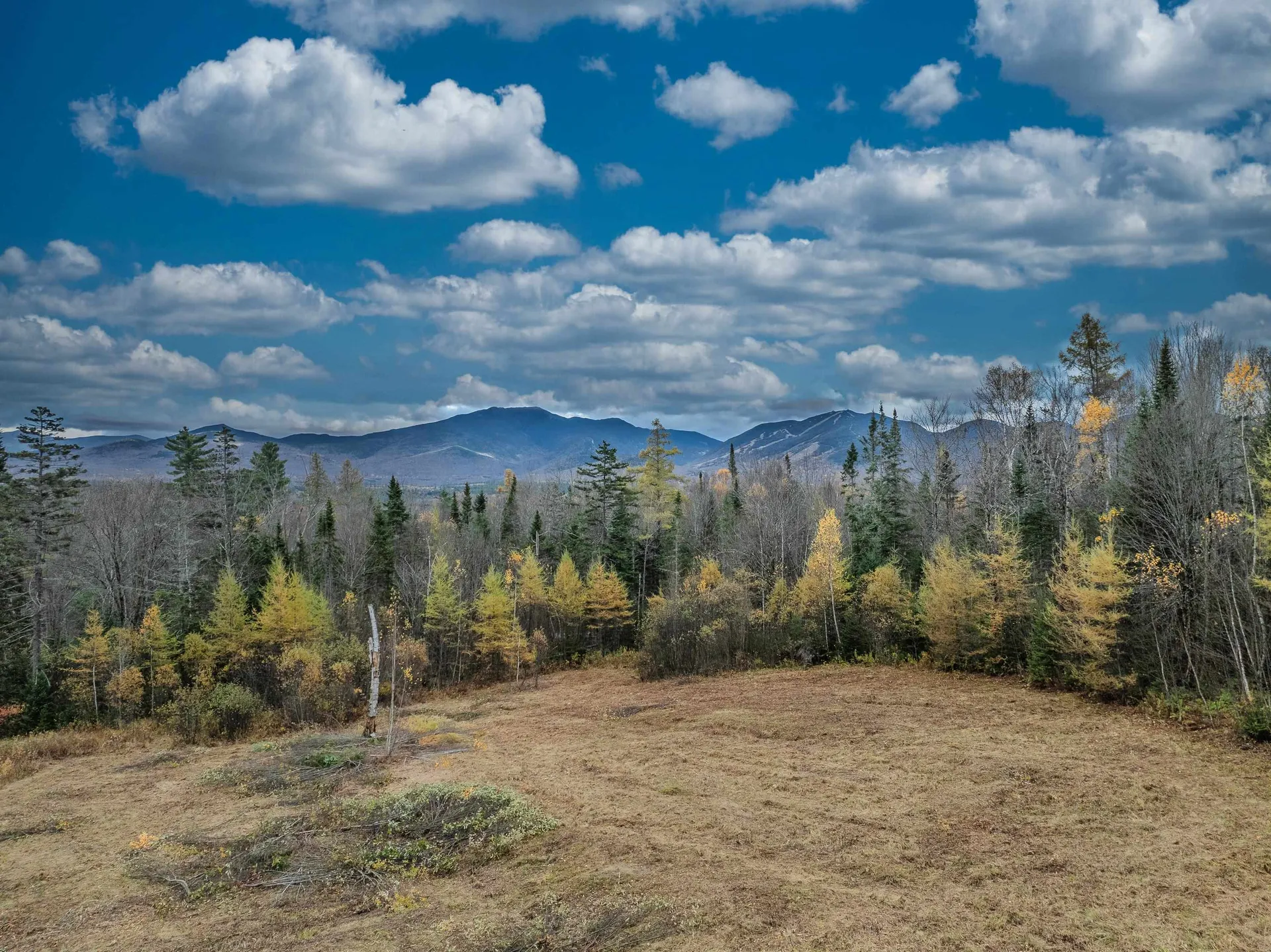 359 Bickford Hill Road Franconia NH 03580