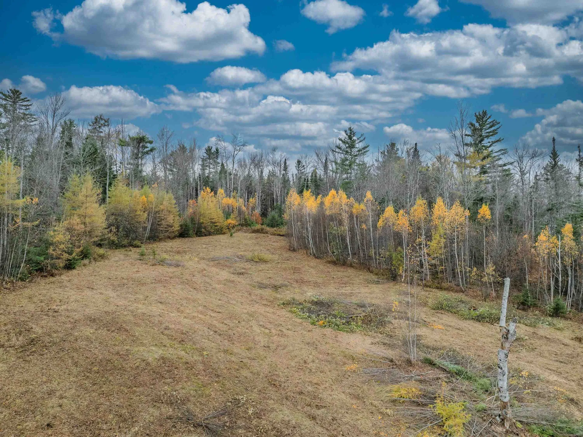 359 Bickford Hill Road Franconia NH 03580