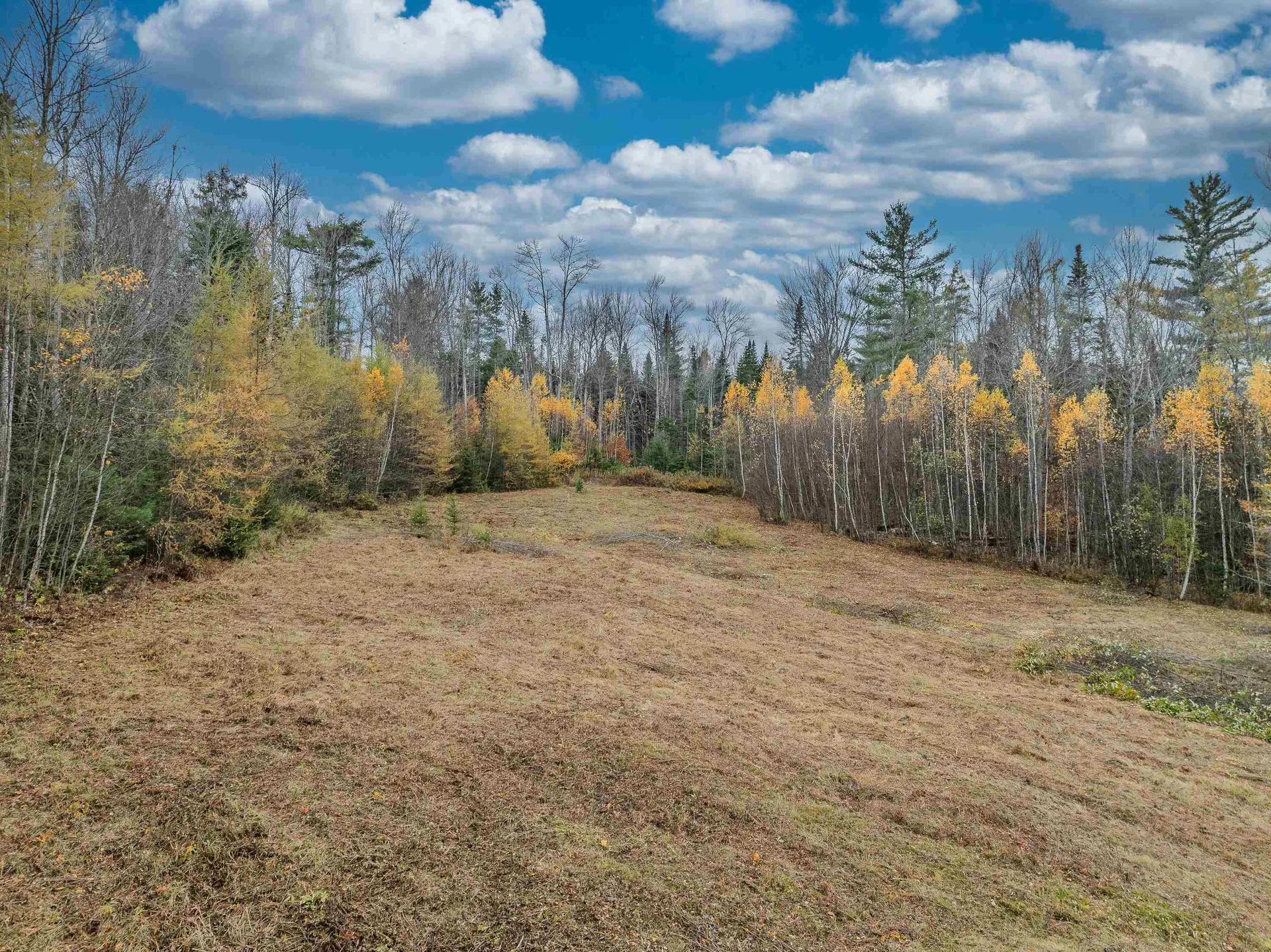 359 Bickford Hill Road Franconia NH 03580