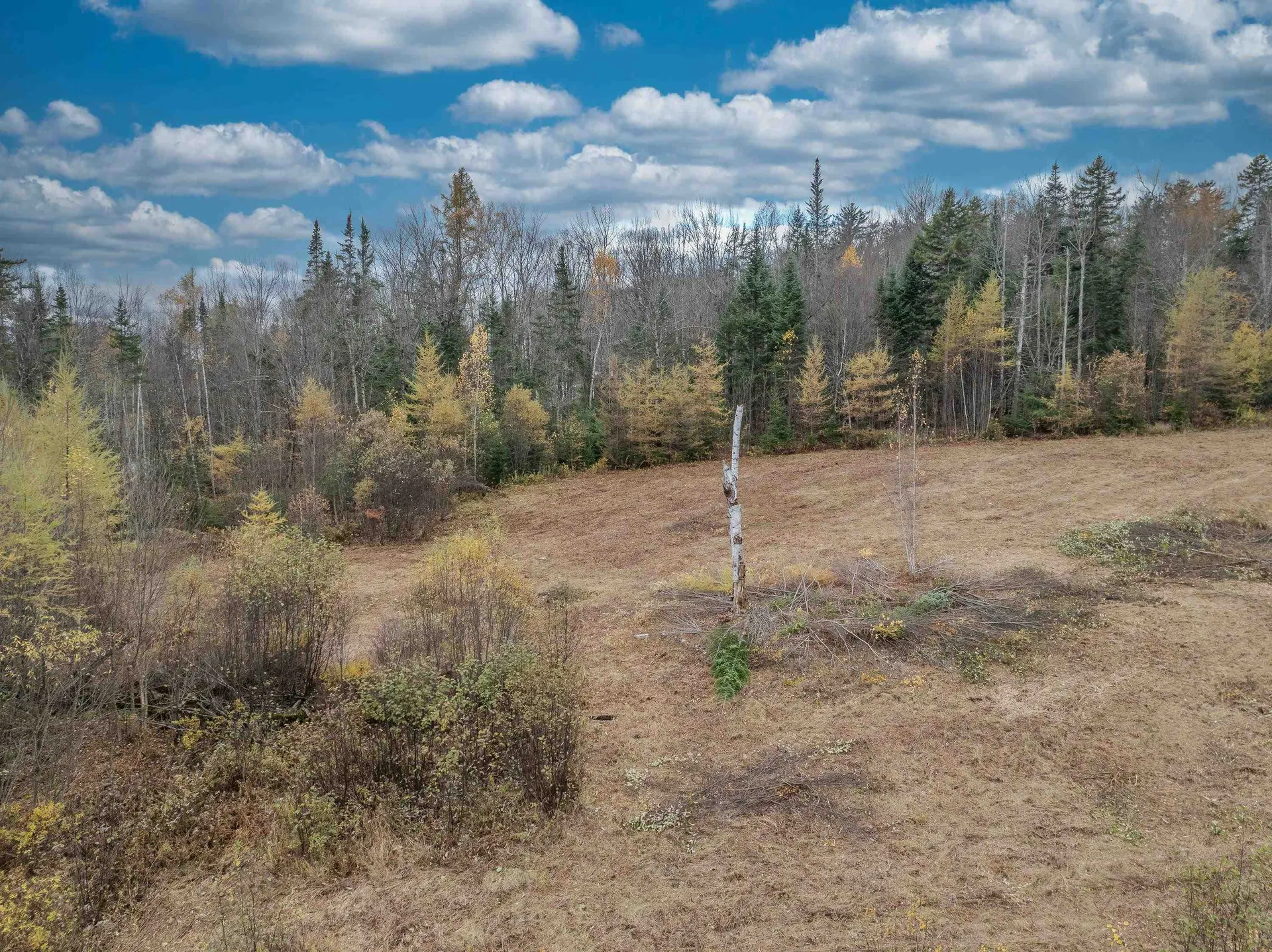 359 Bickford Hill Road Franconia NH 03580