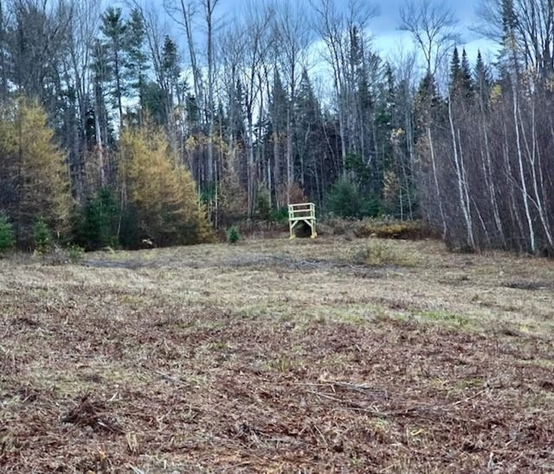 359 Bickford Hill Road Franconia NH 03580