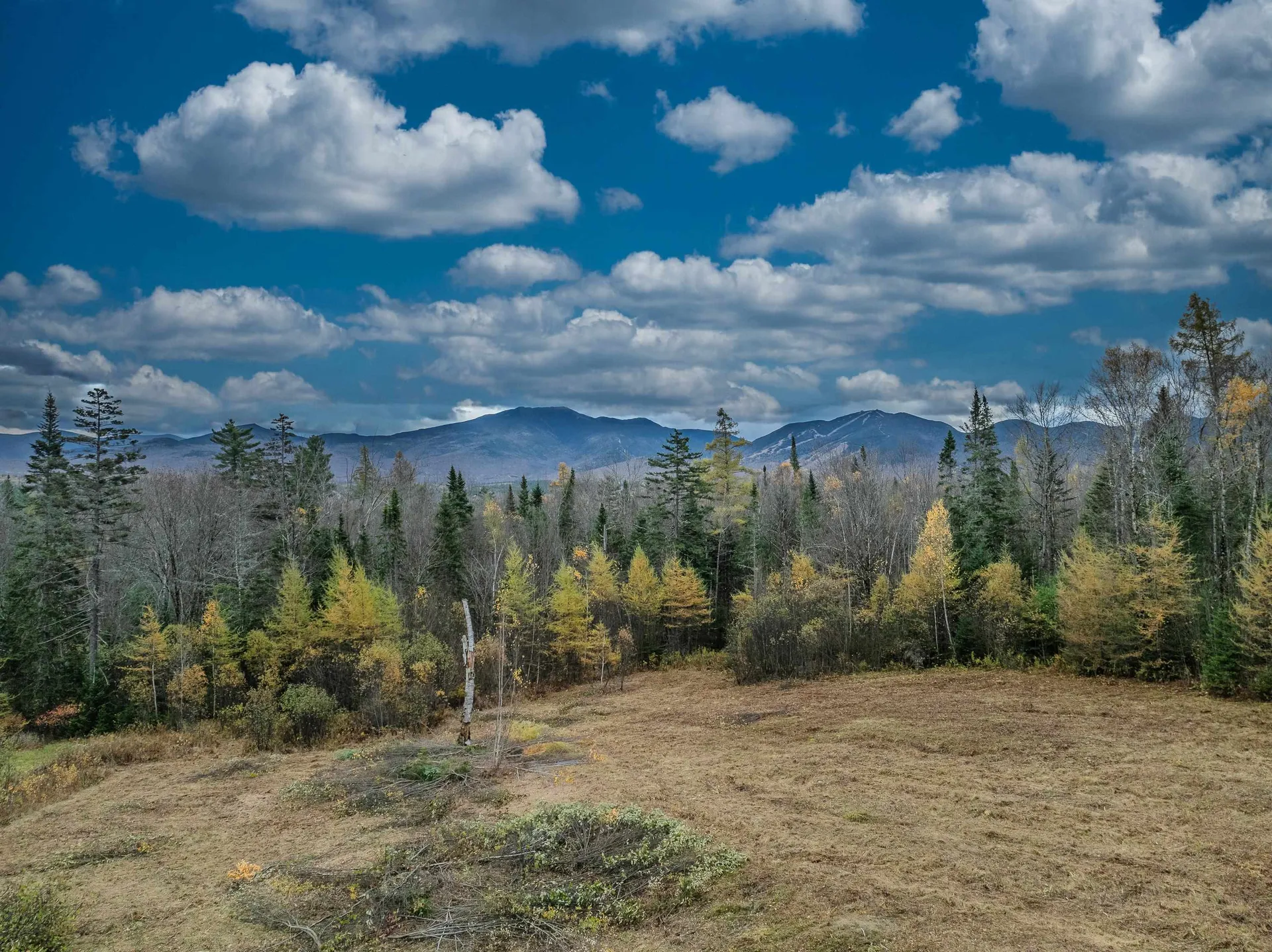 359 Bickford Hill Road Franconia NH 03580