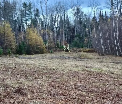 359 Bickford Hill Road Franconia NH 03580