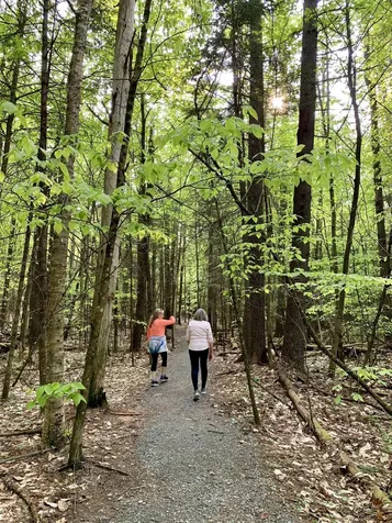 359 Bickford Hill Road Franconia NH 03580