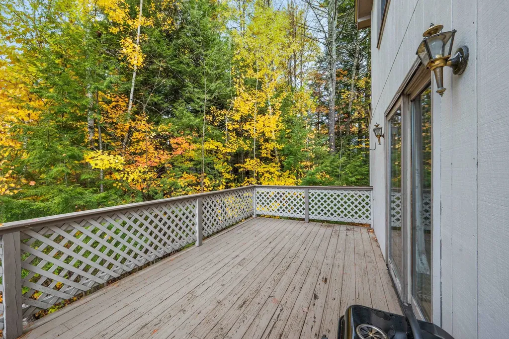 41 Saint Gallen Street Moultonborough NH 03254