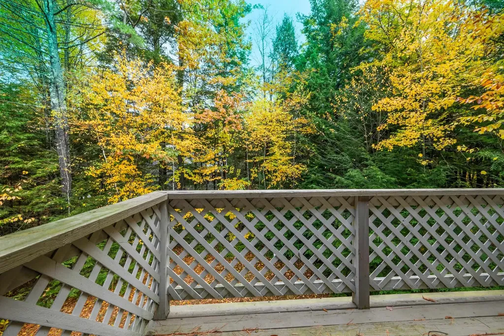 41 Saint Gallen Street Moultonborough NH 03254