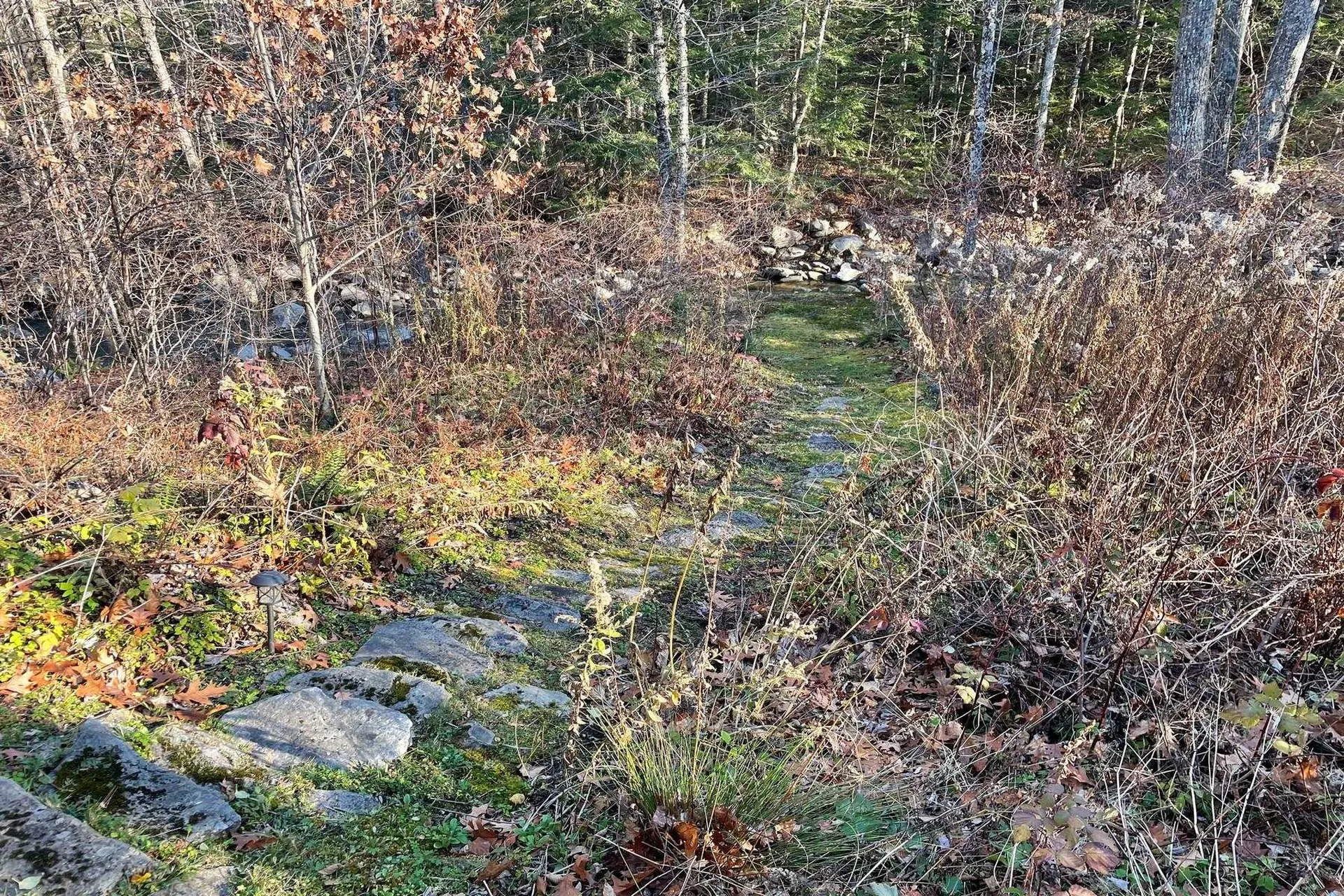 3019 Popple Dungeon Road Chester VT 05143