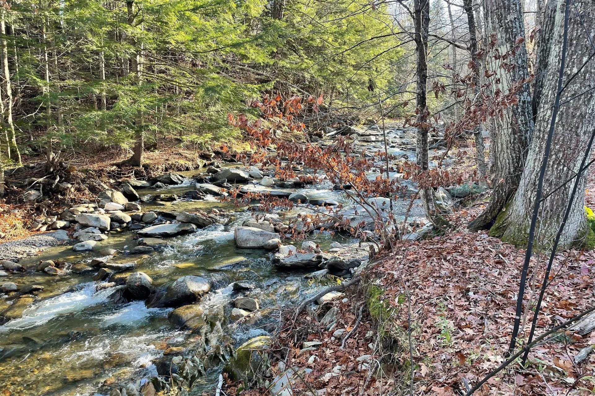 3019 Popple Dungeon Road Chester VT 05143