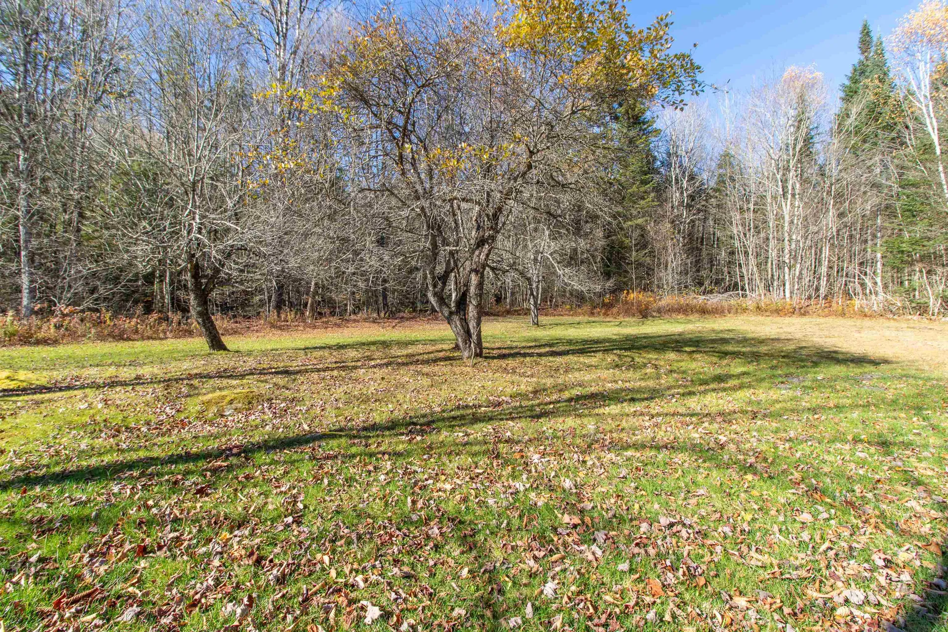 95 Matthews Dudley Road Granby VT 05840