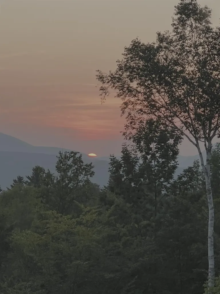 343 Wilderness Road Shrewsbury VT 05738