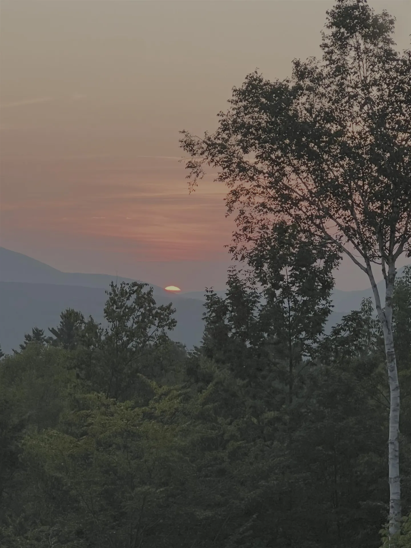 343 Wilderness Road Shrewsbury VT 05738