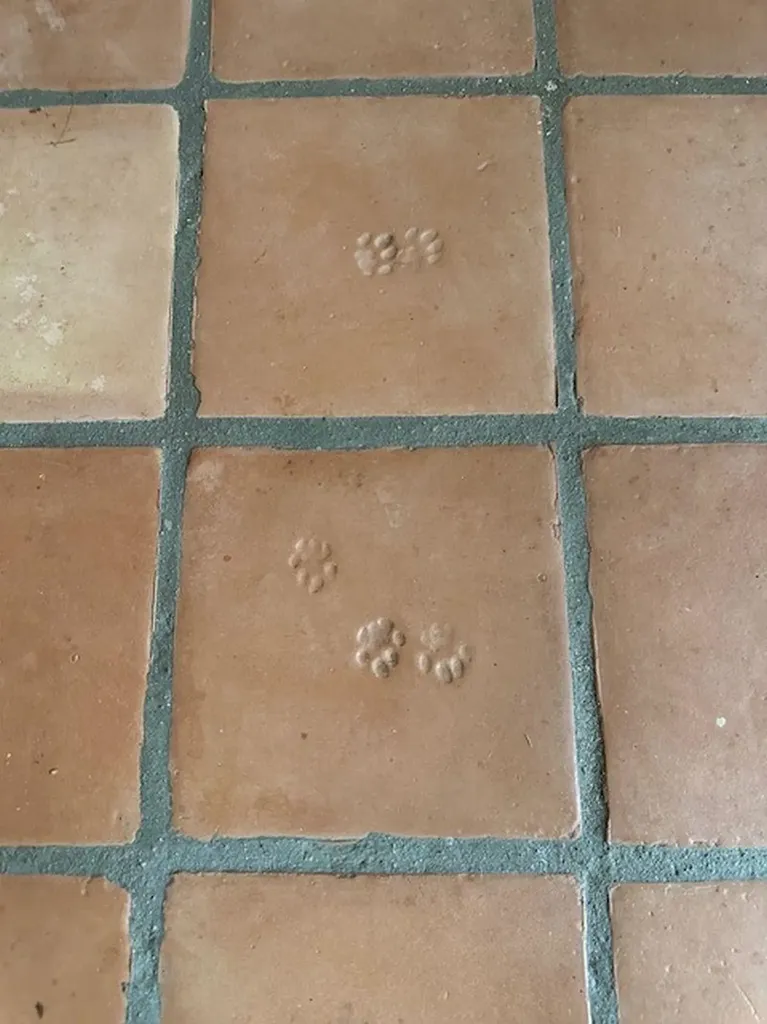 137 Pleasant Valley Road Brattleboro VT 05301