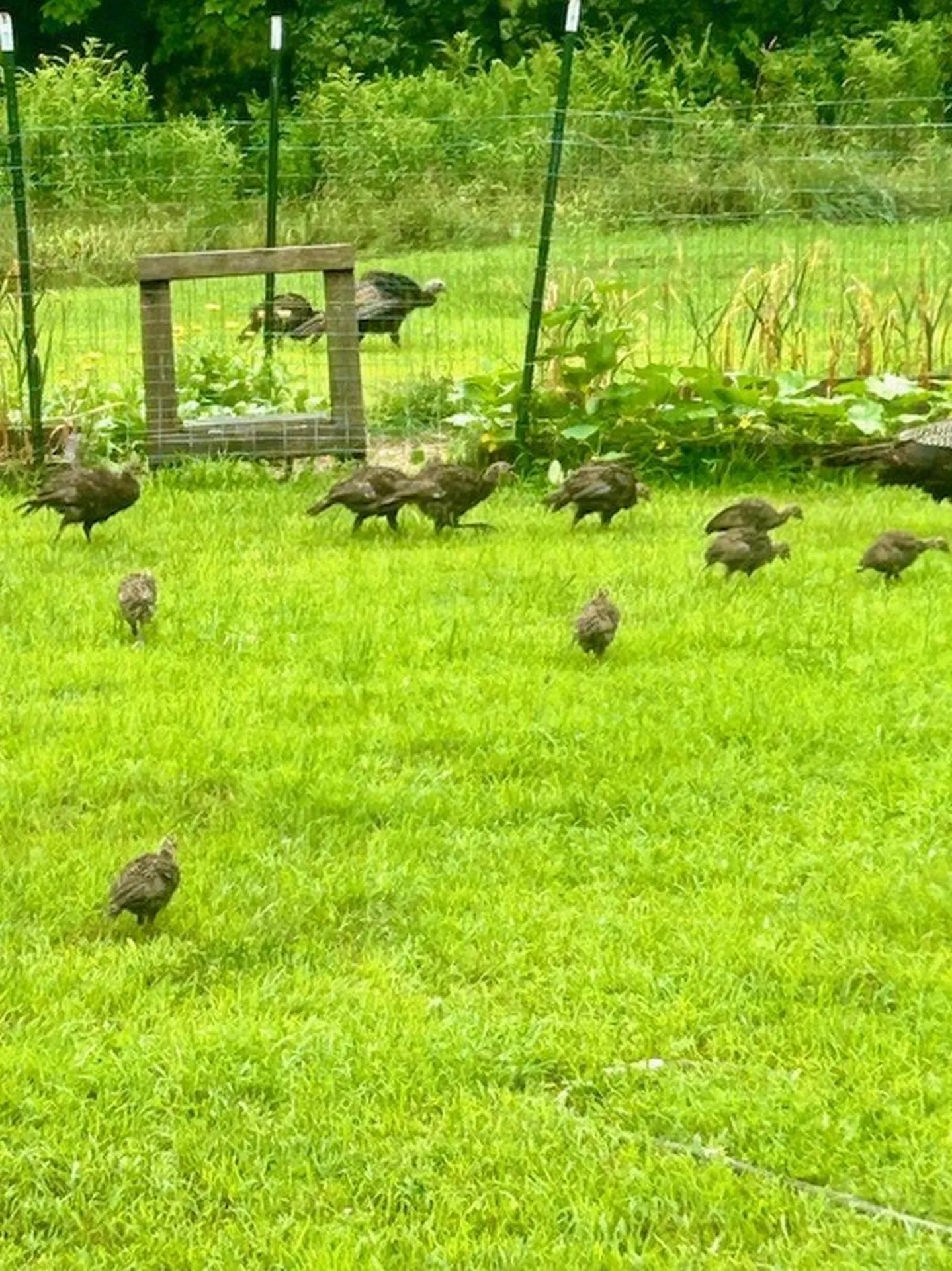 137 Pleasant Valley Road Brattleboro VT 05301