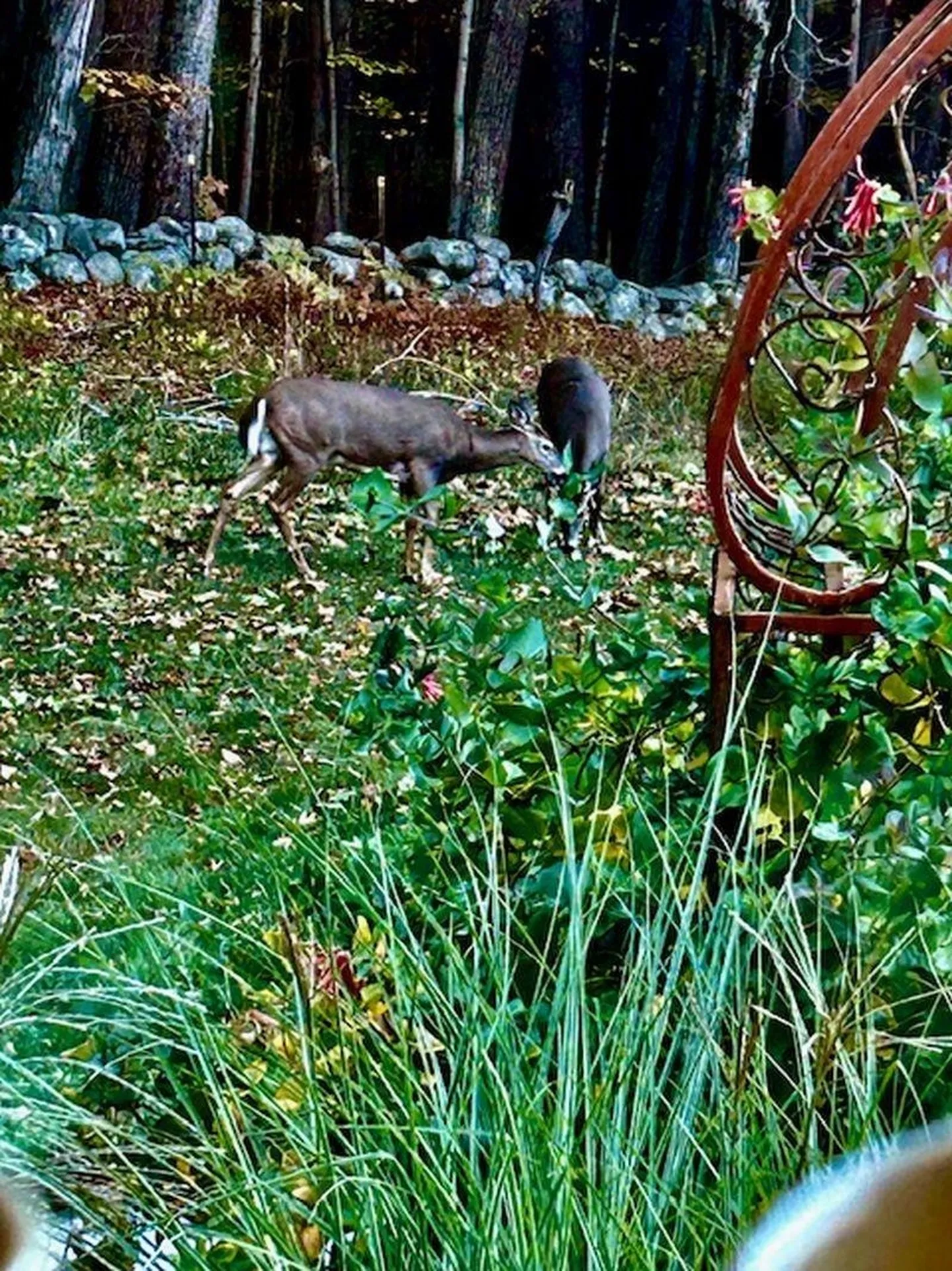 137 Pleasant Valley Road Brattleboro VT 05301