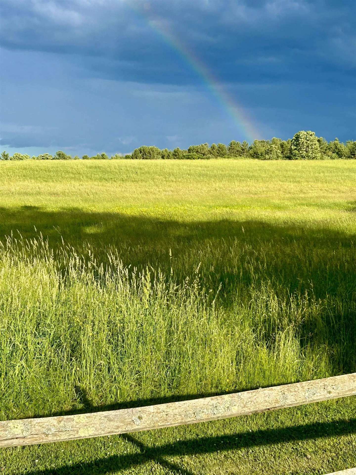 137 Pleasant Valley Road Brattleboro VT 05301