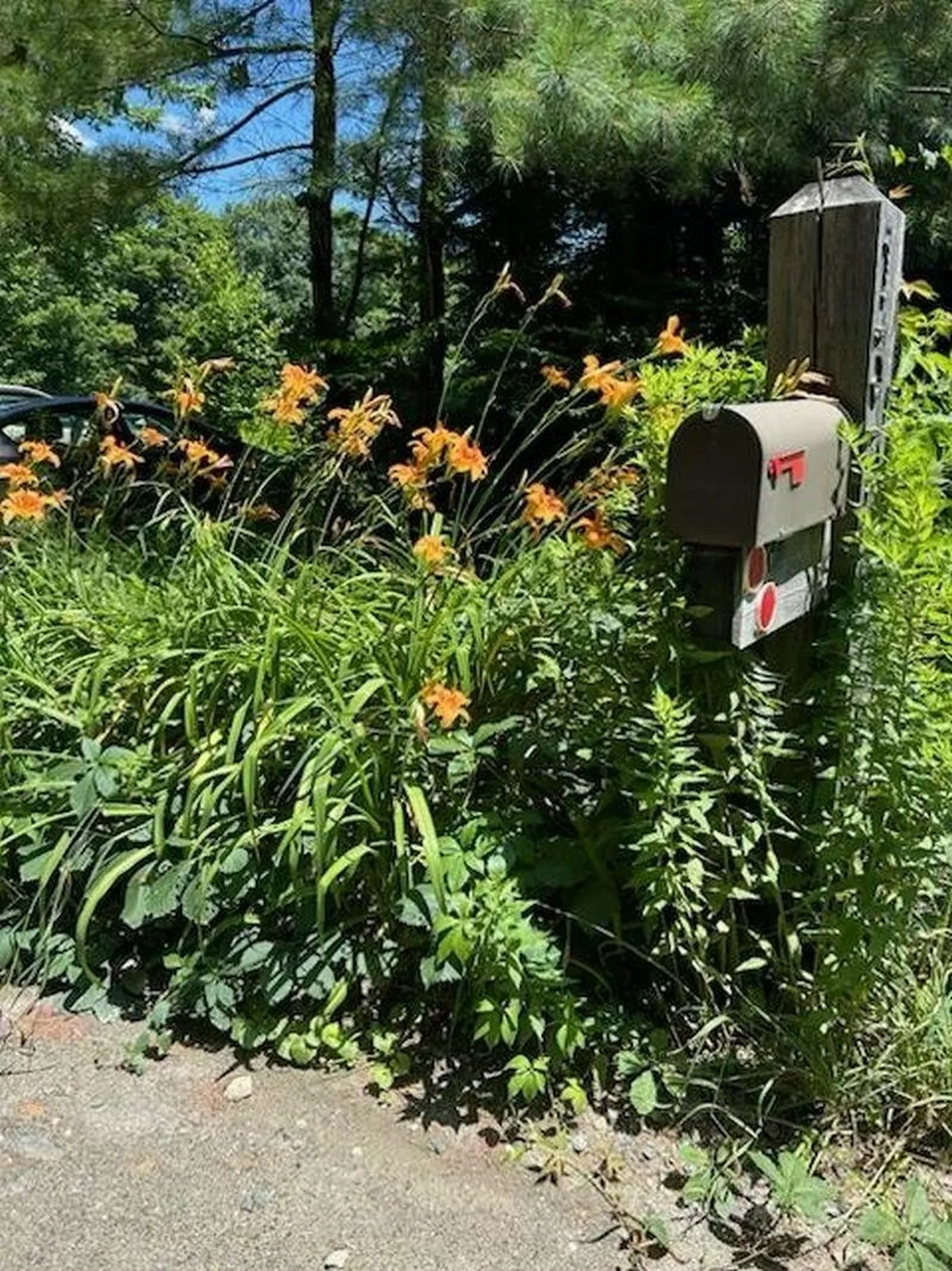 137 Pleasant Valley Road Brattleboro VT 05301